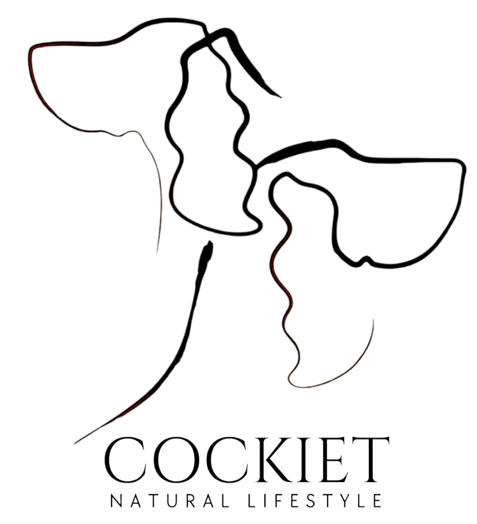 logo dark