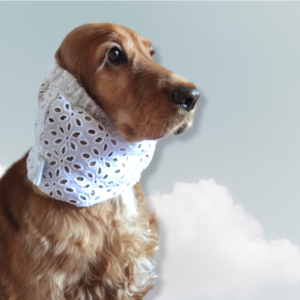Tiramisù woof Wedding