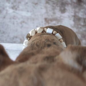 WOODOG - Collare antiparassitario - immagine 9