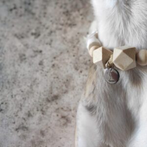 WOODOG - Collare antiparassitario - immagine 12